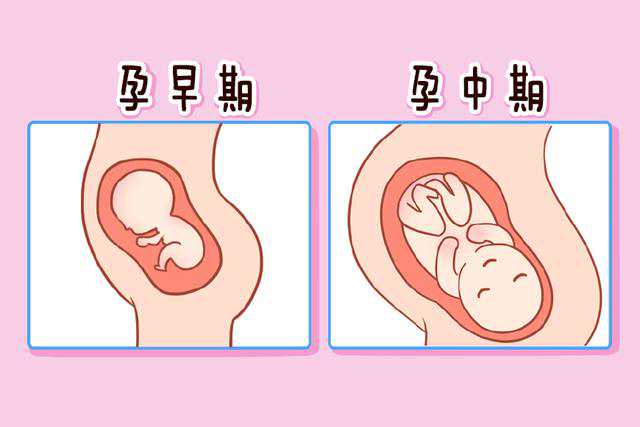 广州哪家医院可以做供卵试管