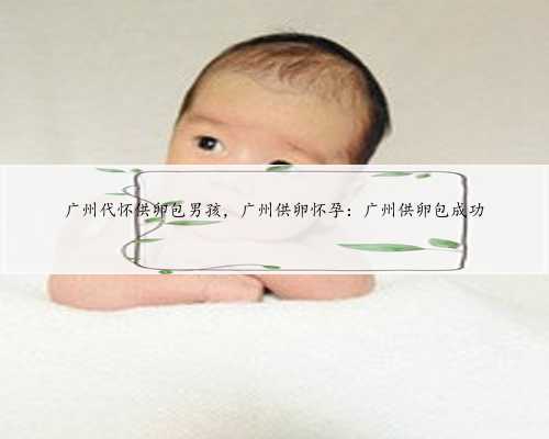 广州代怀供卵包男孩，广州供卵怀孕：广州供卵包成功